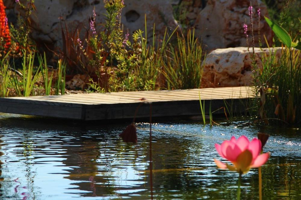 Il Fiore Della Vita Trulli Country House Конверсано Екстер'єр фото