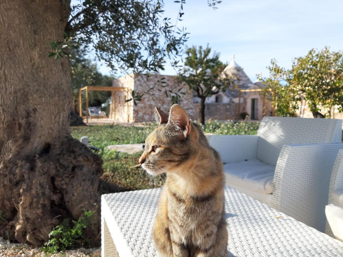 Il Fiore Della Vita Trulli Country House Конверсано Екстер'єр фото