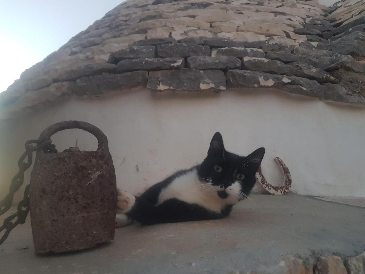 Il Fiore Della Vita Trulli Country House Конверсано Екстер'єр фото