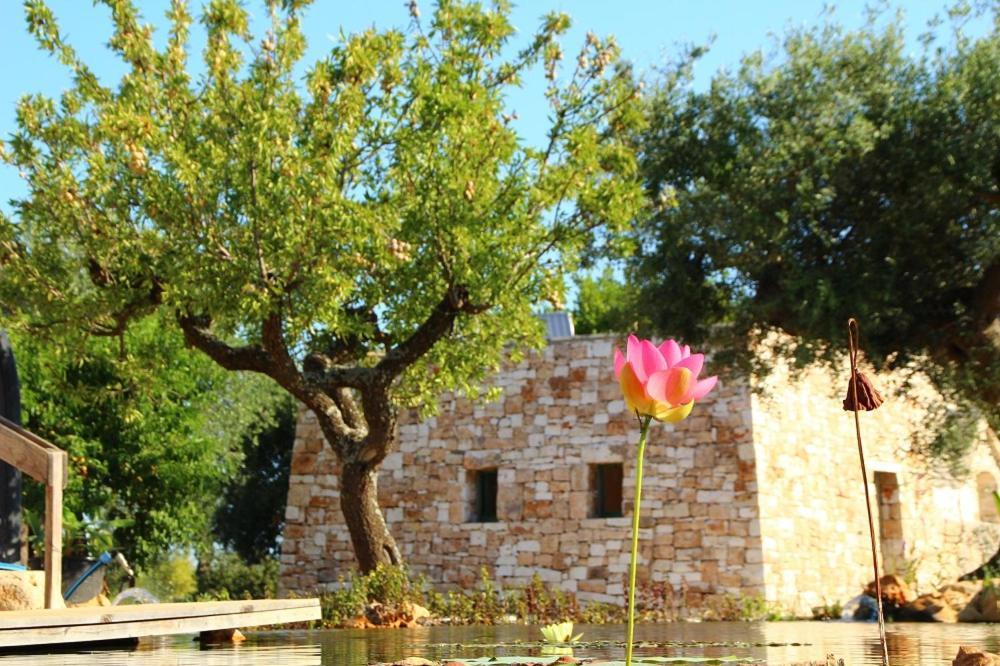Il Fiore Della Vita Trulli Country House Конверсано Екстер'єр фото